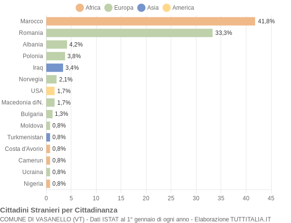 Grafico cittadinanza stranieri - Vasanello 2006