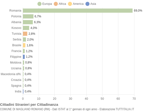 Grafico cittadinanza stranieri - Magliano Romano 2011