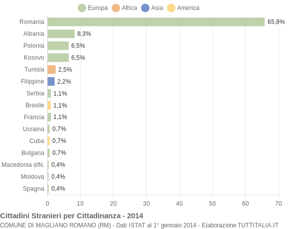 Grafico cittadinanza stranieri - Magliano Romano 2014