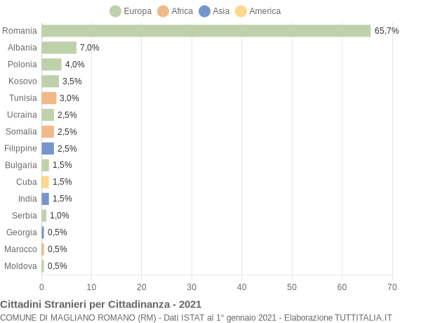 Grafico cittadinanza stranieri - Magliano Romano 2021