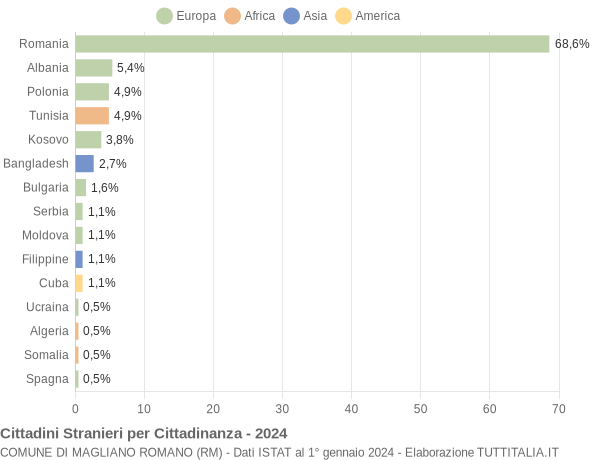 Grafico cittadinanza stranieri - Magliano Romano 2024