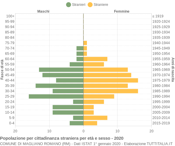 Grafico cittadini stranieri - Magliano Romano 2020