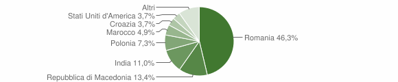 Grafico cittadinanza stranieri - Montebuono 2013