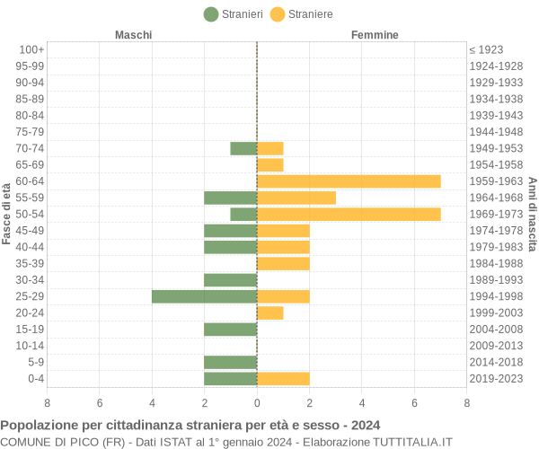 Grafico cittadini stranieri - Pico 2024