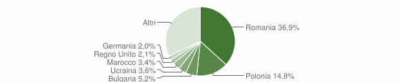 Grafico cittadinanza stranieri - Cerveteri 2006