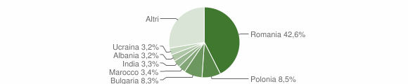 Grafico cittadinanza stranieri - Ardea 2011