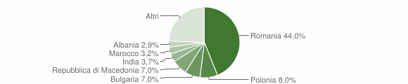 Grafico cittadinanza stranieri - Ardea 2012