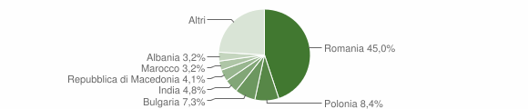 Grafico cittadinanza stranieri - Ardea 2013