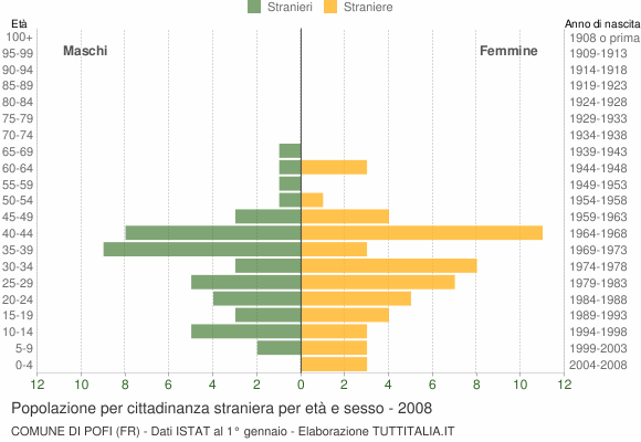 Grafico cittadini stranieri - Pofi 2008