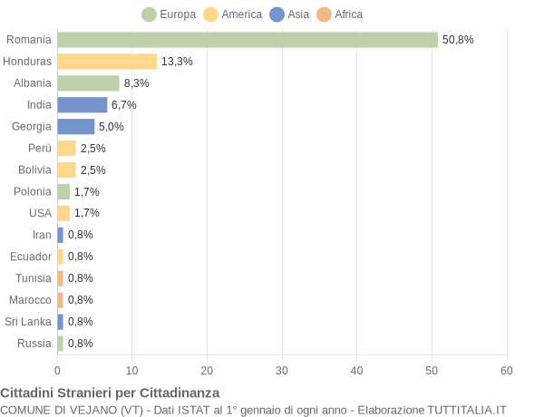 Grafico cittadinanza stranieri - Vejano 2015