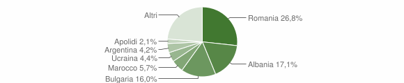 Grafico cittadinanza stranieri - Segni 2012