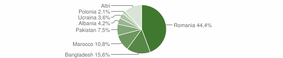 Grafico cittadinanza stranieri - Gallese 2012