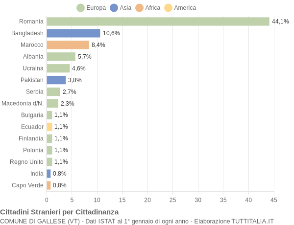 Grafico cittadinanza stranieri - Gallese 2018