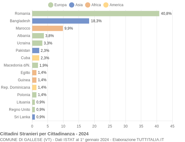 Grafico cittadinanza stranieri - Gallese 2024