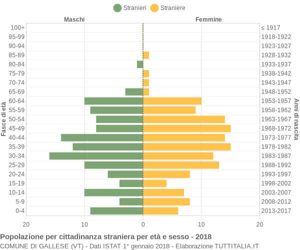 Grafico cittadini stranieri - Gallese 2018