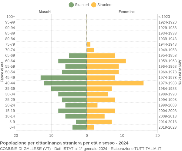 Grafico cittadini stranieri - Gallese 2024