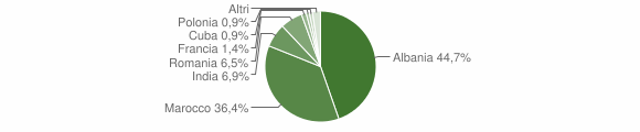 Grafico cittadinanza stranieri - Amaseno 2008