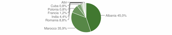 Grafico cittadinanza stranieri - Amaseno 2009