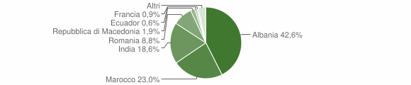 Grafico cittadinanza stranieri - Amaseno 2015
