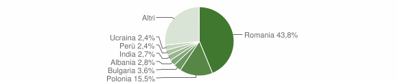 Grafico cittadinanza stranieri - Ladispoli 2007