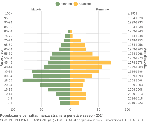 Grafico cittadini stranieri - Montefiascone 2024