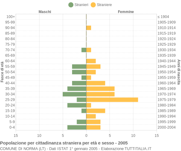 Grafico cittadini stranieri - Norma 2005