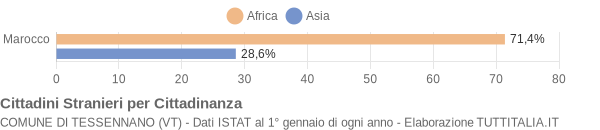 Grafico cittadinanza stranieri - Tessennano 2005