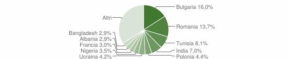 Grafico cittadinanza stranieri - Nettuno 2005