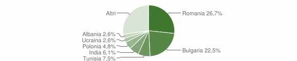 Grafico cittadinanza stranieri - Nettuno 2012