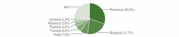 Grafico cittadinanza stranieri - Nettuno 2014