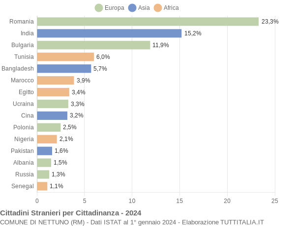 Grafico cittadinanza stranieri - Nettuno 2024