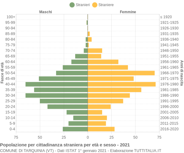 Grafico cittadini stranieri - Tarquinia 2021