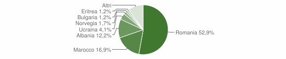Grafico cittadinanza stranieri - Bassano in Teverina 2013