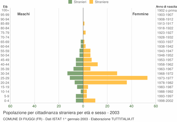Grafico cittadini stranieri - Fiuggi 2003