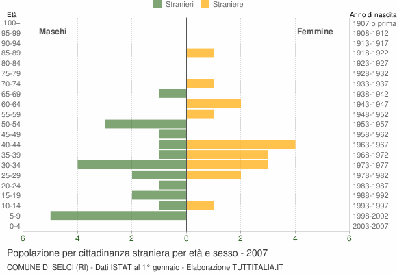 Grafico cittadini stranieri - Selci 2007