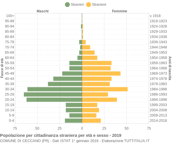 Grafico cittadini stranieri - Ceccano 2019