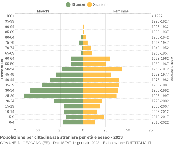 Grafico cittadini stranieri - Ceccano 2023