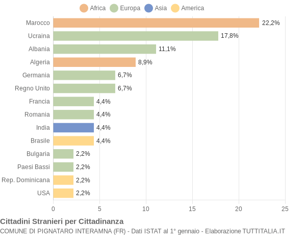 Grafico cittadinanza stranieri - Pignataro Interamna 2005