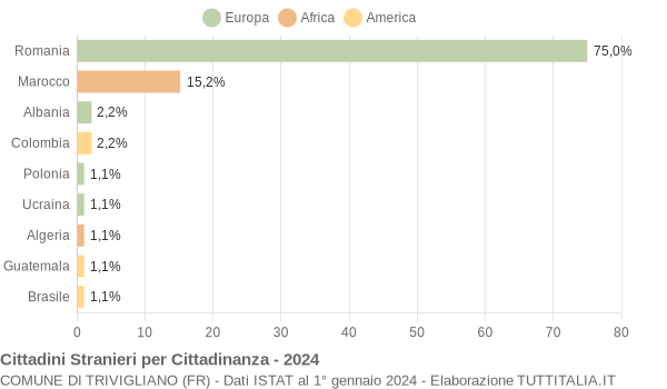 Grafico cittadinanza stranieri - Trivigliano 2024