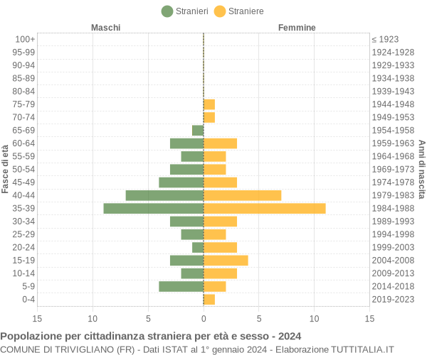 Grafico cittadini stranieri - Trivigliano 2024