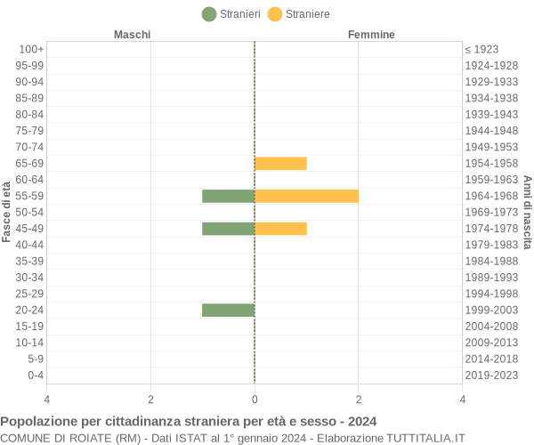 Grafico cittadini stranieri - Roiate 2024