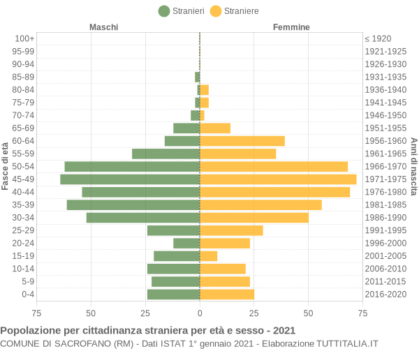 Grafico cittadini stranieri - Sacrofano 2021