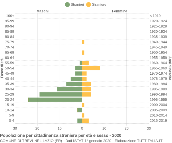 Grafico cittadini stranieri - Trevi nel Lazio 2020