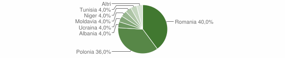 Grafico cittadinanza stranieri - Capranica Prenestina 2009