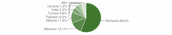 Grafico cittadinanza stranieri - Guarcino 2010