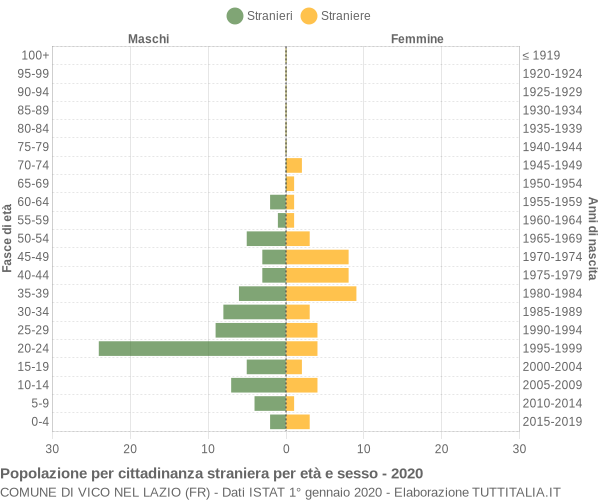 Grafico cittadini stranieri - Vico nel Lazio 2020