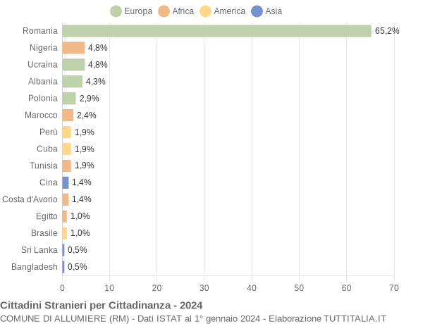 Grafico cittadinanza stranieri - Allumiere 2024