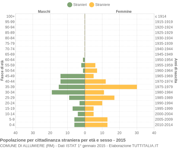 Grafico cittadini stranieri - Allumiere 2015