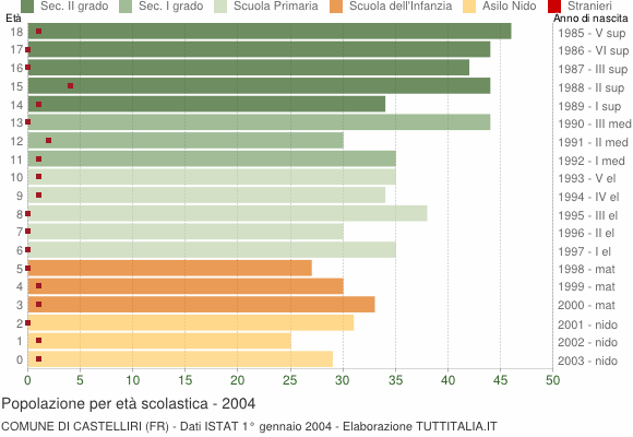 Grafico Popolazione in età scolastica - Castelliri 2004