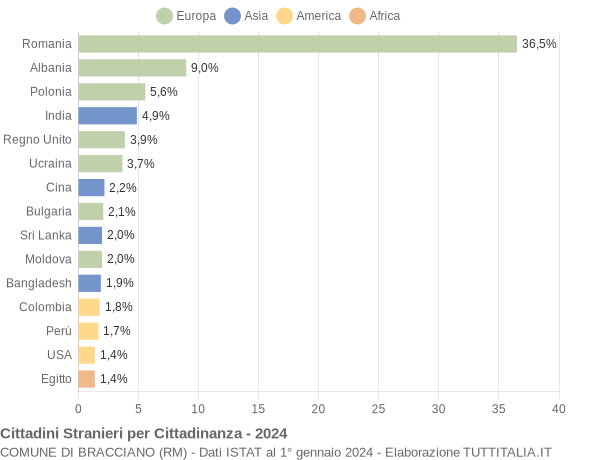 Grafico cittadinanza stranieri - Bracciano 2024